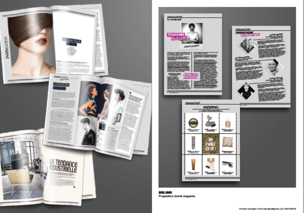 Proposition Charte Graphique Magazine Biblond