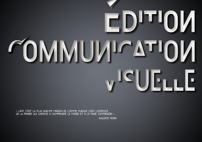 Portfolio_dition et communication visuelle