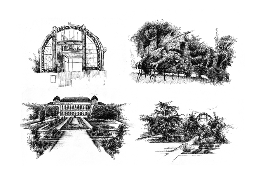 illustration jardin des plantes