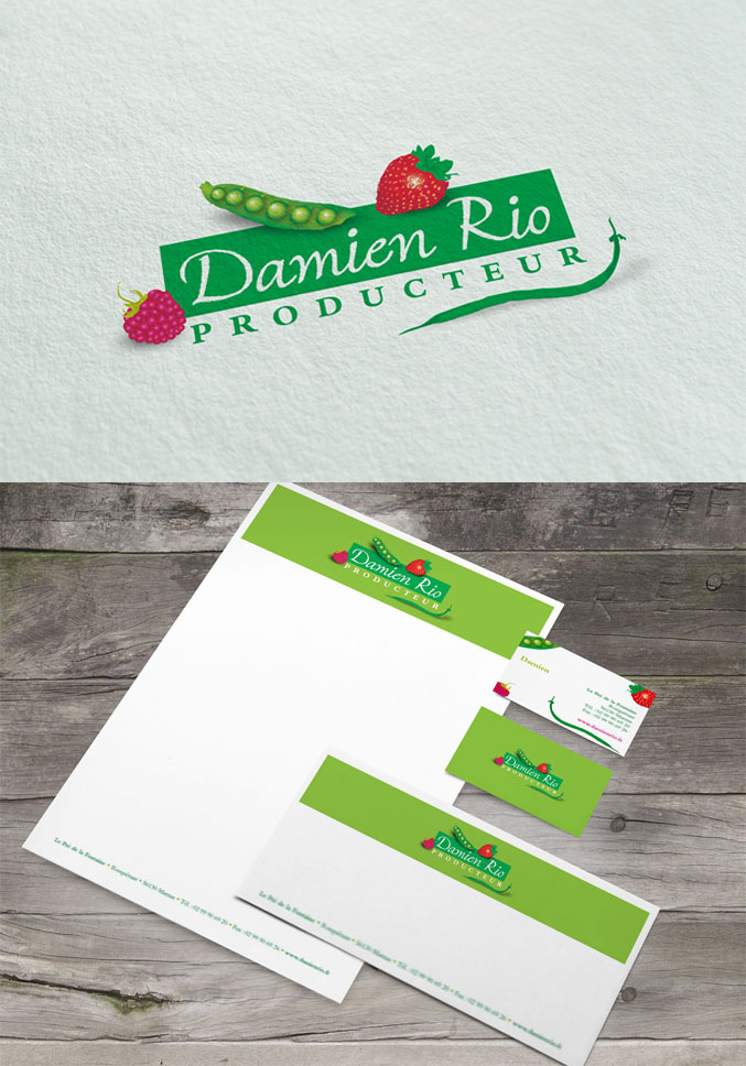 Logo Damien Rio