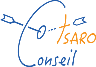 logo Cyber scurit tsaro conseil