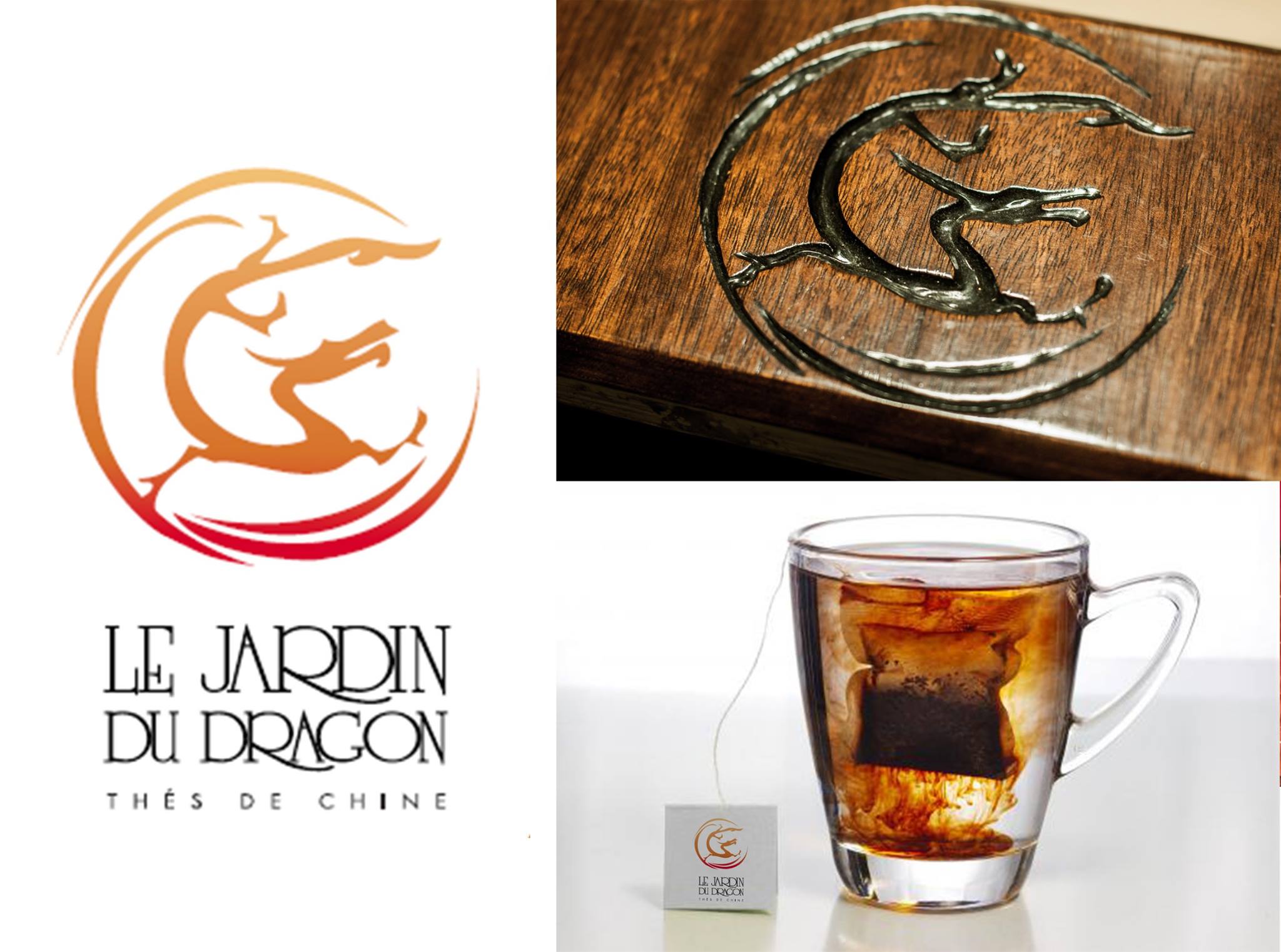 Cration d'un logo pour "Le Jardin du Dragon"