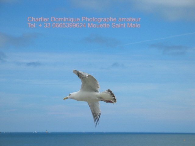 Phographie  Saint Malo